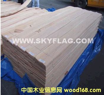 ����0.6���ҼҾ��ϴ��N    �{�����