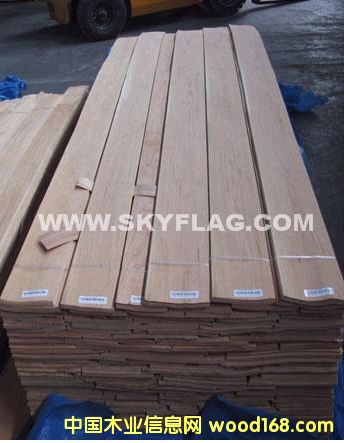 0.6����ɽ�y�Ҿ���    �{�����