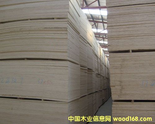 ��ľ�z�ϰ��Ԕ��(x��)��B