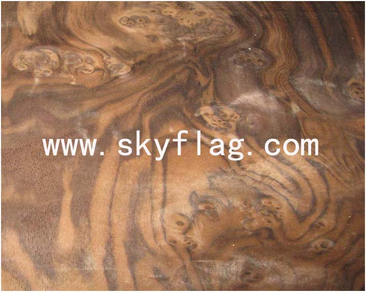 �ں��Ҙ�(sh��)���Ԕ��(x��)��B