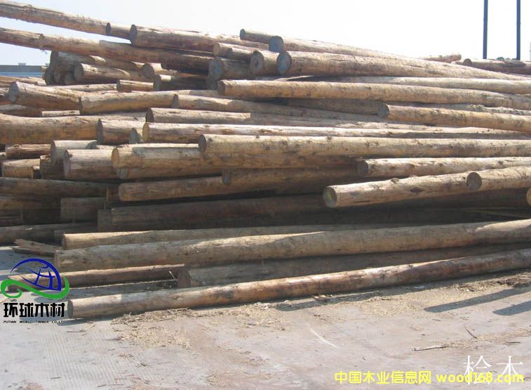 �S�uԭľ��Ԕ��(x��)��B