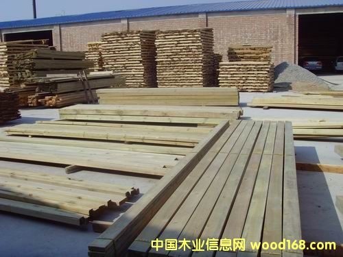 ����ľ��Ԕ����B