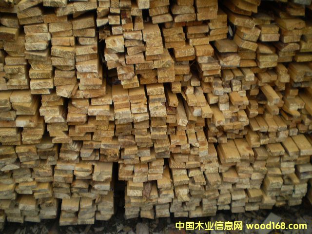 ľ�塢ľ����Ԕ��(x��)��B