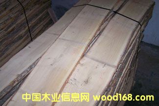 �������ĵ�Ԕ��(x��)��B