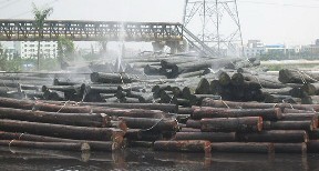 ԭľ��ľ��(ch��ng)��Ԕ��(x��)��B