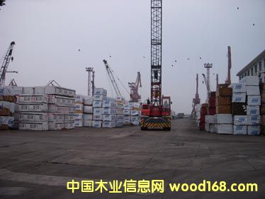 ���NҎ(gu��)���ĺ�ľ����Ԕ����B