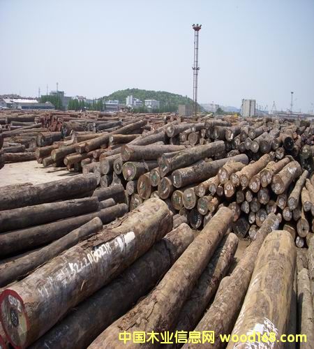 �Ҿ߲ĵ�Ԕ����B