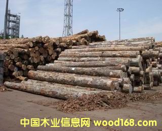 ���ɡ�ݗ����