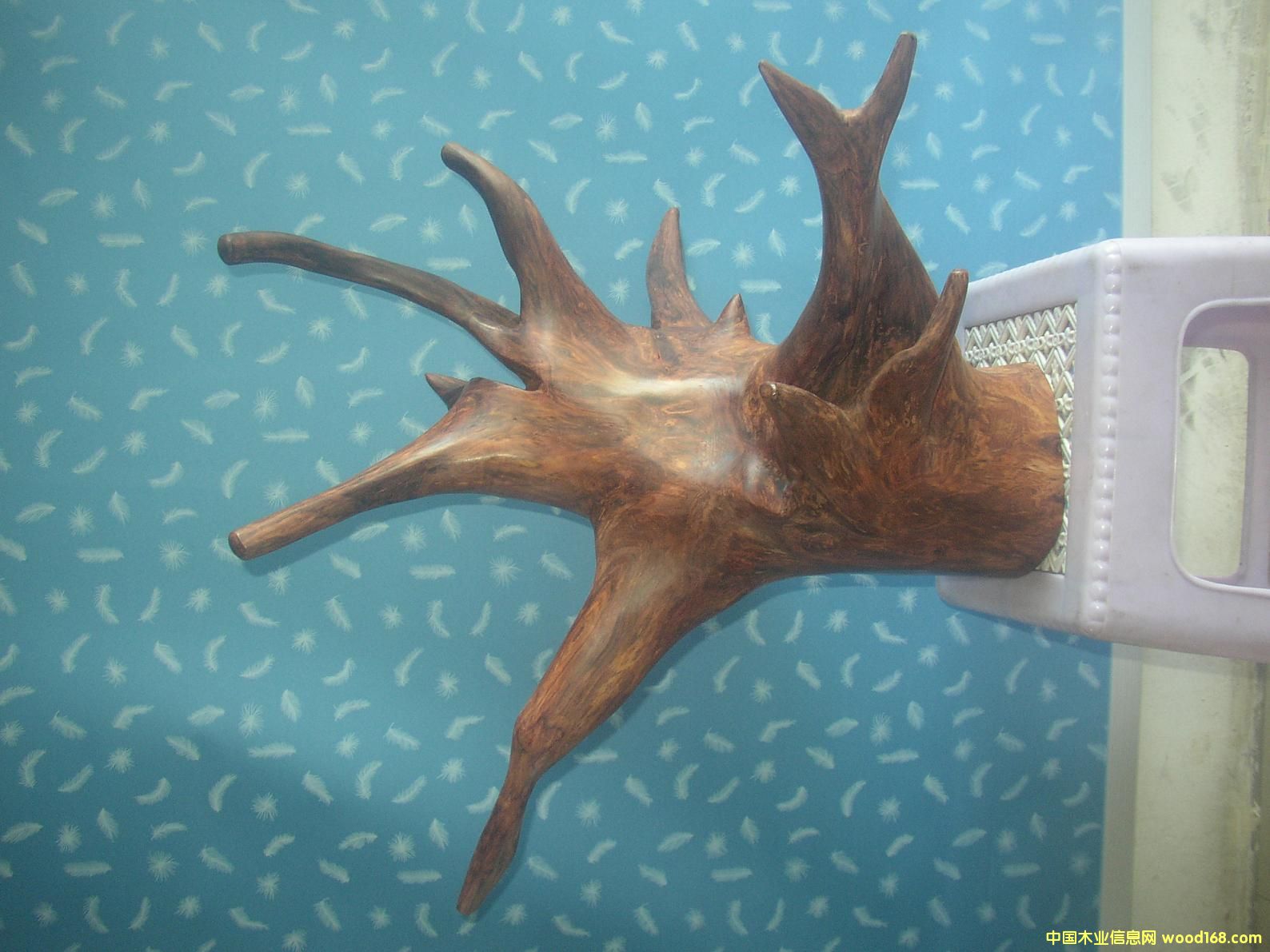 �����S��������Ԕ��(x��)��B