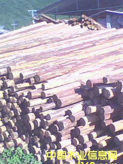 ɼԭľ2��Ԕ��(x��)��B