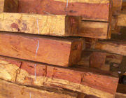 ��ľ����