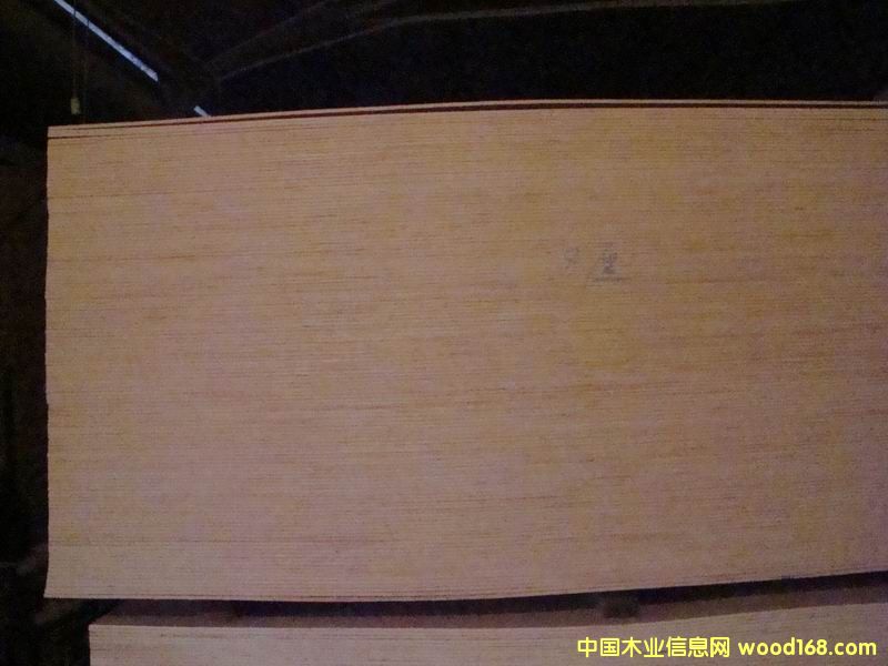 ���N��̖(h��o)���Ӱ��Ԕ��(x��)��B