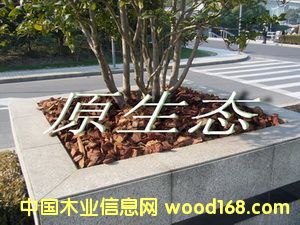 �ɘ�(sh��)Ƥ���w��