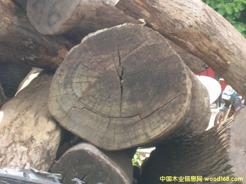 ����ľ��Ԕ����B