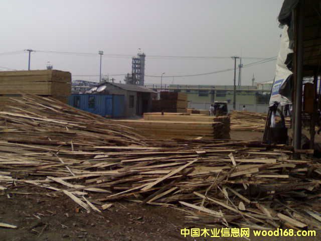 ݗ�����������m.ݗ�����������������~�ɵ�Ԕ��(x��)��B