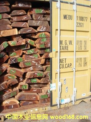 �t�F����Ԕ��(x��)��B