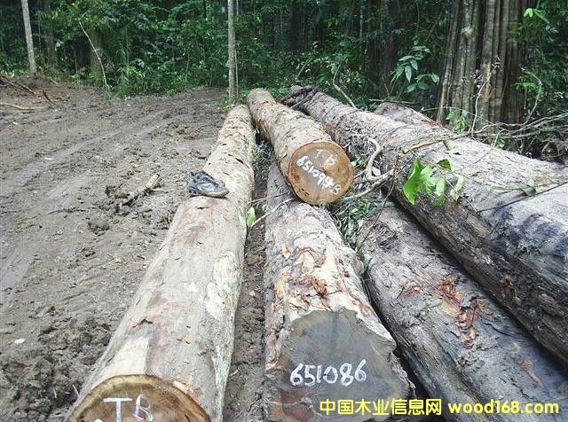 ���P̴ԭľ��Ԕ��(x��)��B