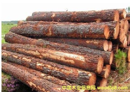 ����(gu��)�����ɵ�Ԕ��(x��)��B