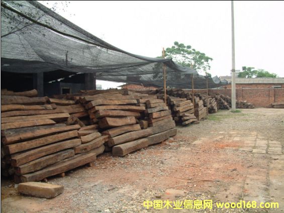 ����t��֦��Ԕ����B