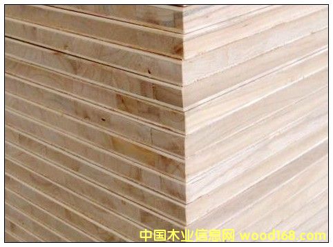 ��(x��)ľ�����Ԕ��(x��)��B