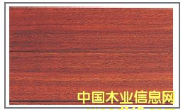 �A�P����Ԕ��(x��)��B