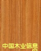 �����߼��ͻ�壨����壩��Ԕ��(x��)��B