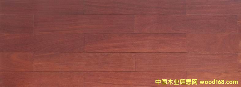 ���P̴��Ԕ����B