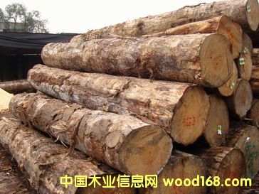 A��(j��)ݗ����ԭľ��Ԕ��(x��)��B