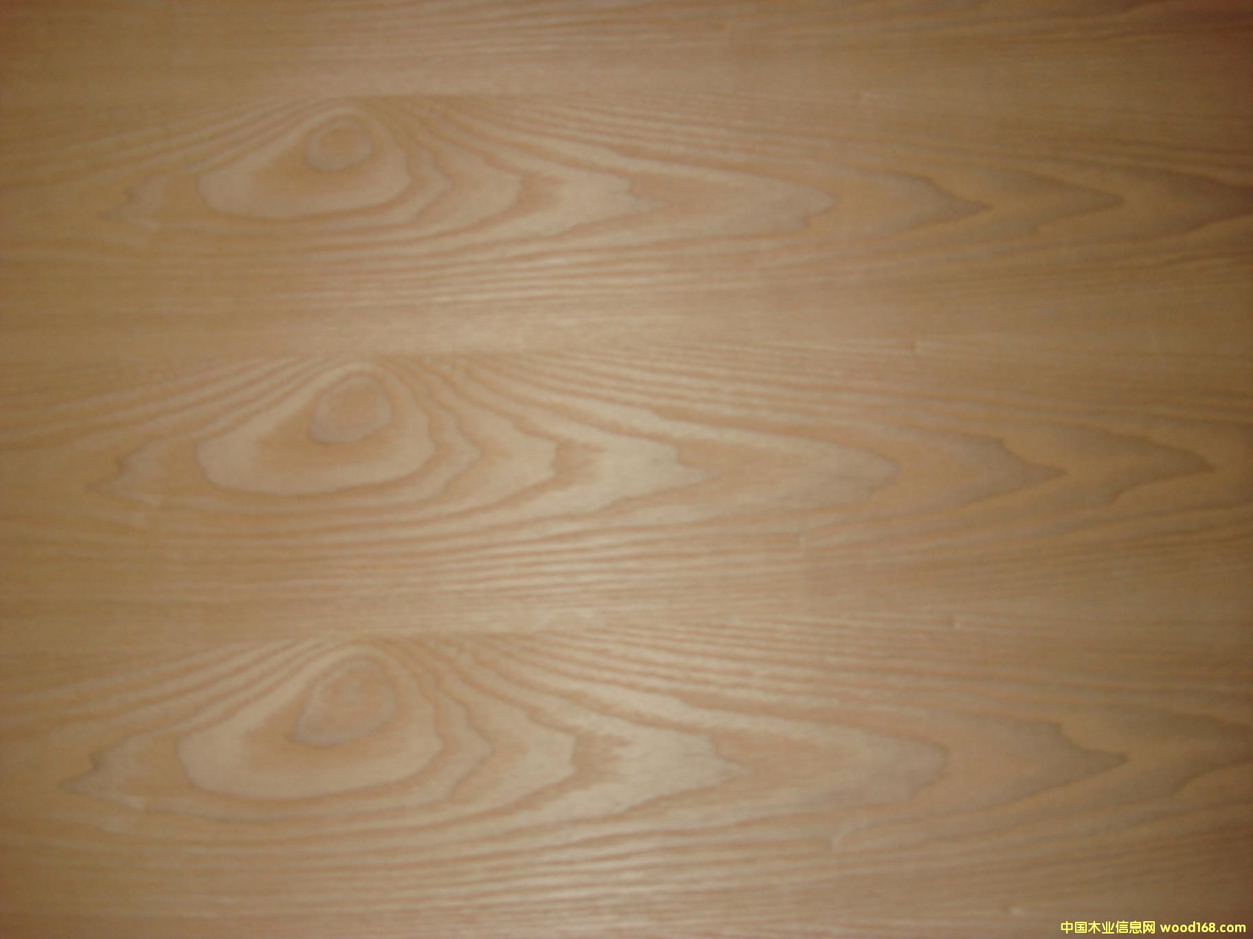 ��ꖼ��\ľ�I(y��)��Ԕ����B