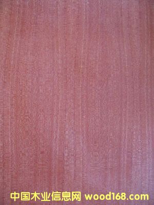 ��ꖼ��\ľ�I(y��)��Ԕ����B