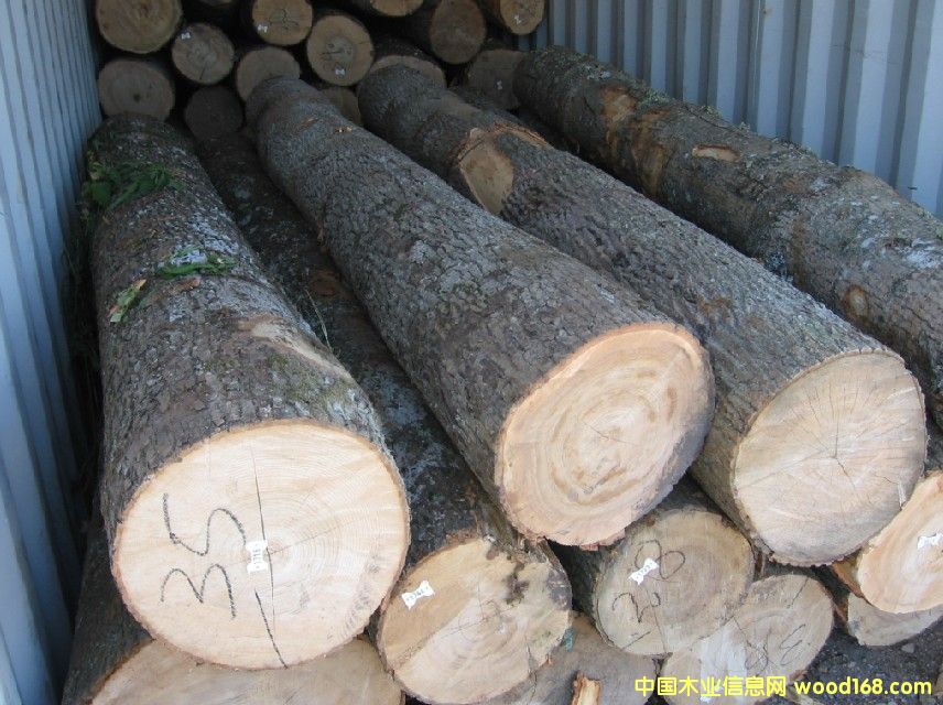 �W��ˮ����ԭľ��Ԕ��(x��)��B