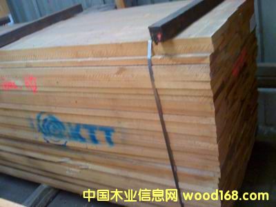 ������Ԕ��(x��)��B