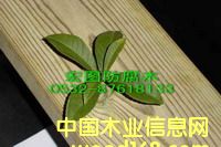 ���u����ľ��Ԕ����B