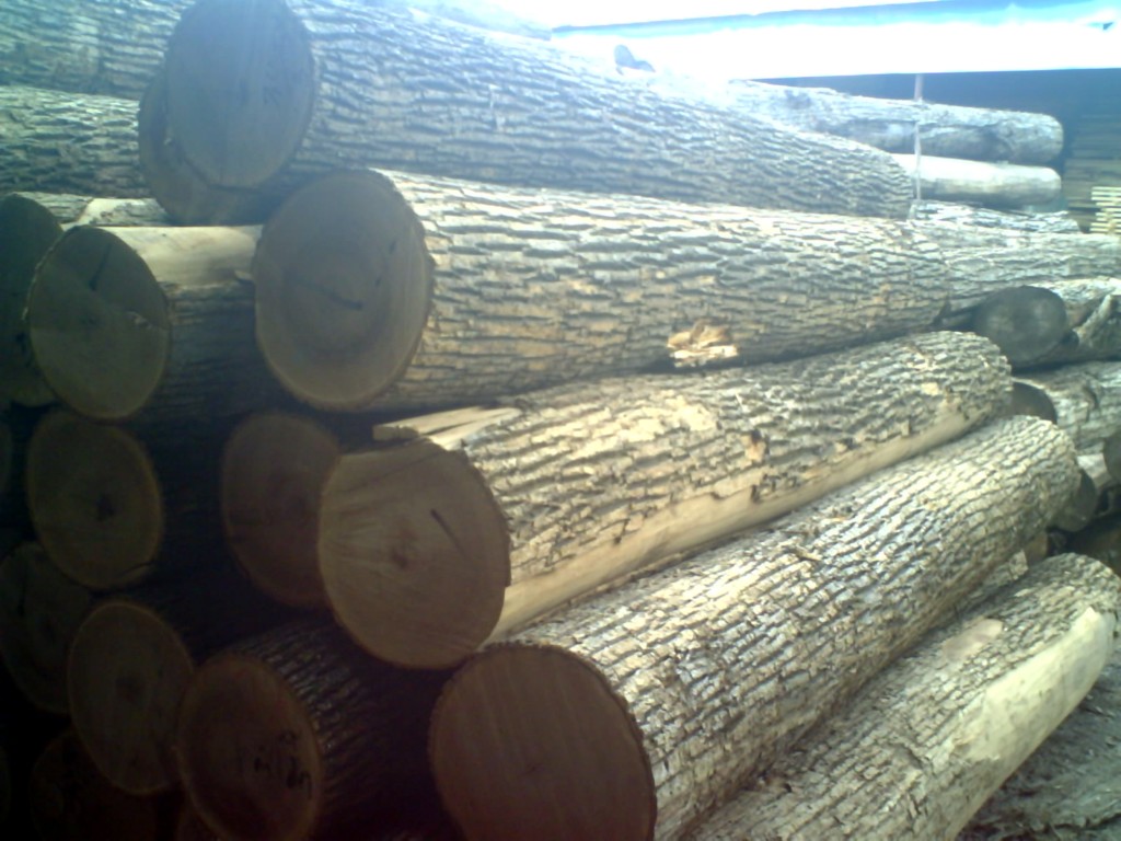 ˮ����ԭľ����ĵ�Ԕ����B