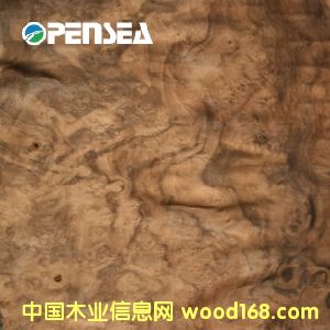 �ں��Ҙ�(sh��)��ľƤ