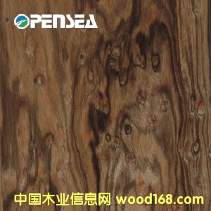 �P��ľƤ��Ԕ��(x��)��B