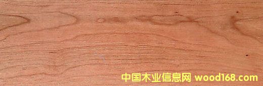 ����(gu��)����,����(gu��)�ڙ��ҵ�Ԕ��(x��)��B