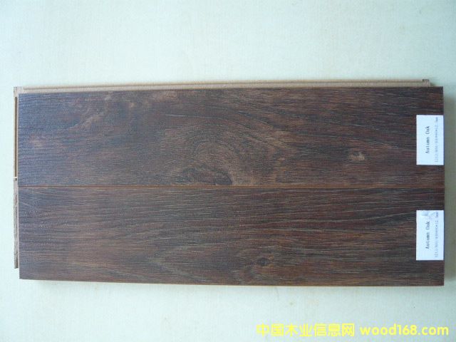 Autumn Oak�������ذ壩��Ԕ����B