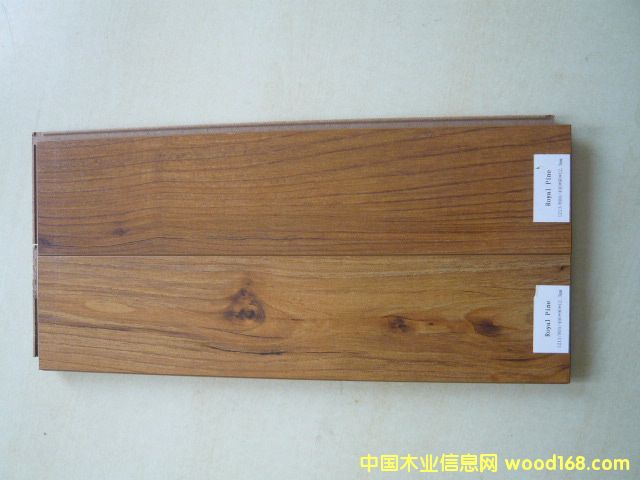 Royal Pine (�����ذ�)��Ԕ����B