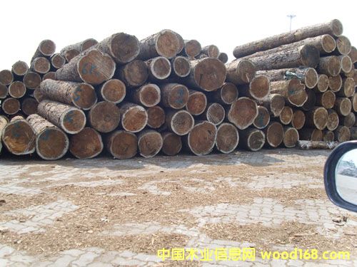 ��ɽľ���Ј���Ԕ��(x��)��B