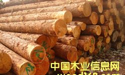 ���~��ԭľ��Ԕ��(x��)��B