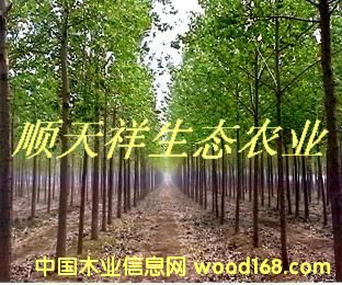 ��(y��u)�|(zh��)��������ľ��Ԕ��(x��)��B