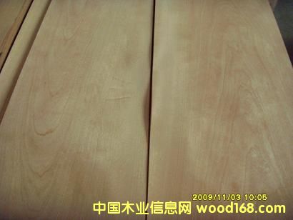 0.6���Ϙ�ɽ�yľƤ��Ԕ��(x��)��B