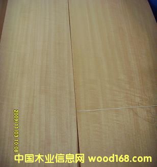 0.6�tӰ��Ԕ��(x��)��B