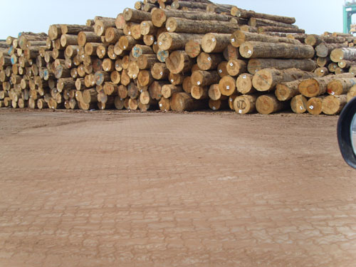 ����ľ���Ј���Ԕ��(x��)��B