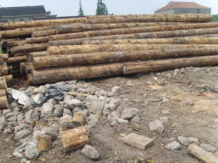 ����ľ�����l(f��)��Ԕ��(x��)��B