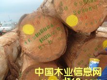 ����˹ԭľ��B+����Ԕ����B