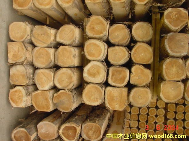 FSC��ľľ����Ԕ����B