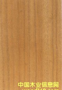 ��z�ֵ�Ԕ����B