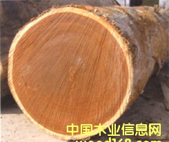 ���}���Ԕ����B